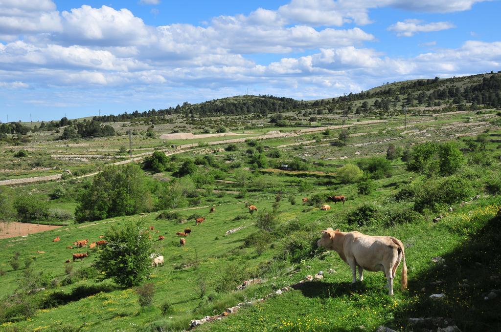 Casa Rural El Boixar - El Mirador Bojar Esterno foto