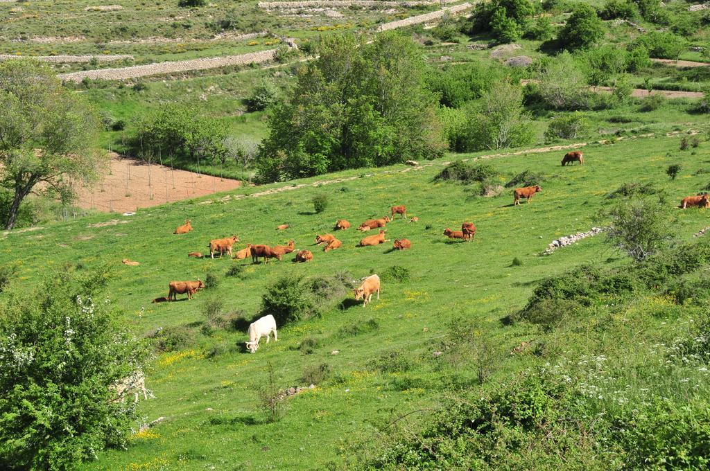 Casa Rural El Boixar - El Mirador Bojar Esterno foto